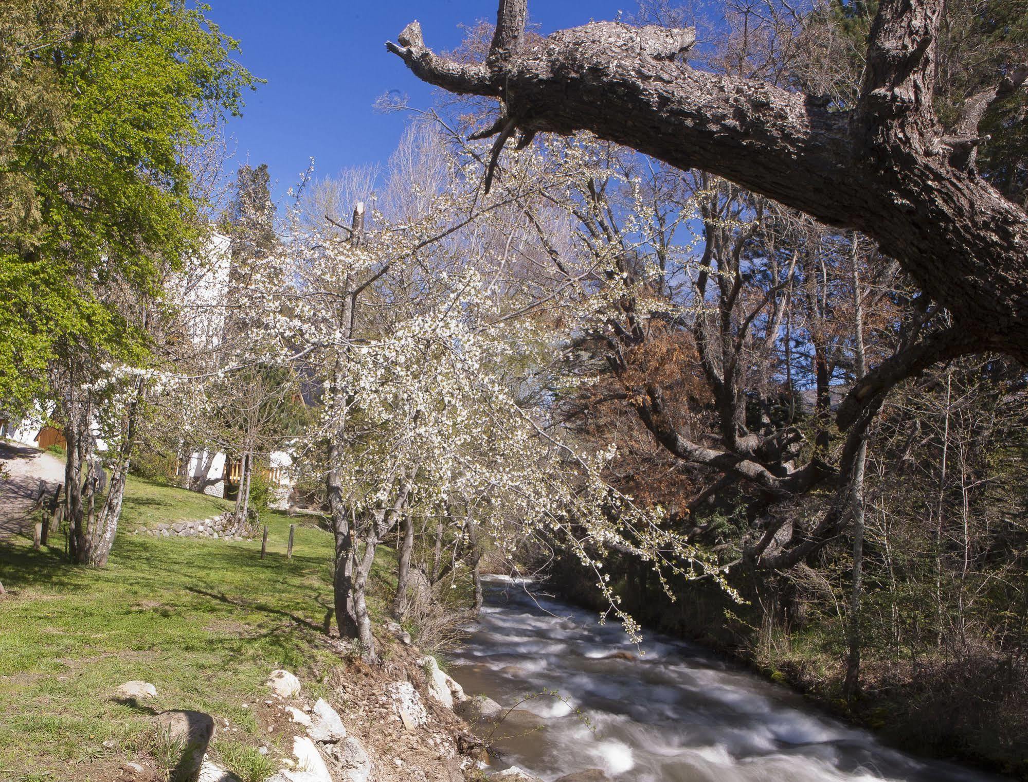 Cabanas Rucaleufu San Martín de los Andes Buitenkant foto
