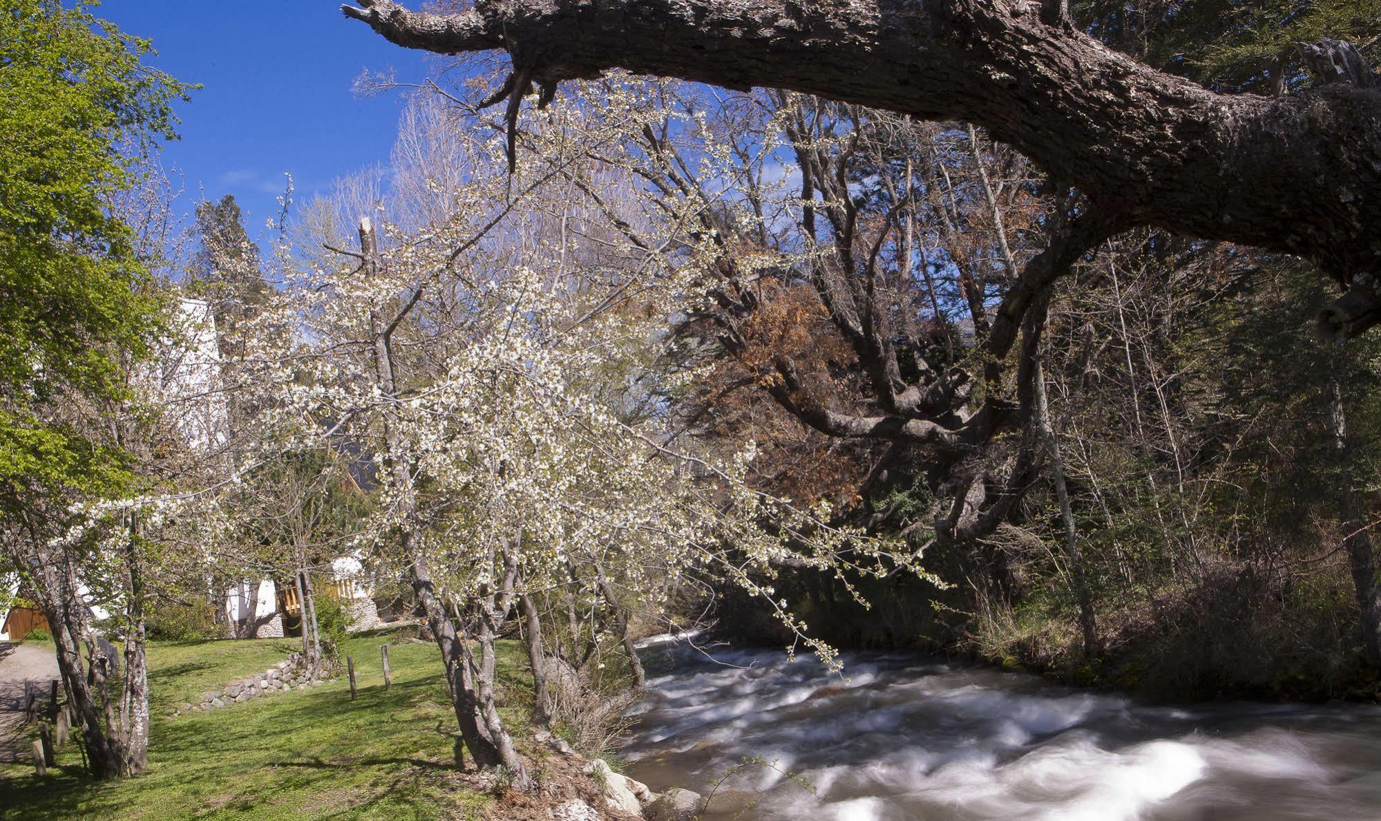 Cabanas Rucaleufu San Martín de los Andes Buitenkant foto