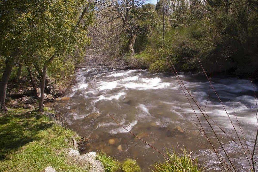 Cabanas Rucaleufu San Martín de los Andes Buitenkant foto